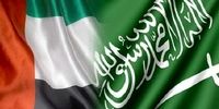 تبعات تصمیم امارات برای خروج از اوپک/ گاردین: تنش‌های قدیمی ابوظبی و ریاض بر سر سهمیه تولید نفت دوباره شعله‌ور می‌شود