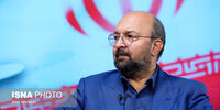 جواد امام: چرا باید از حضور در اجلاس شرم الشیخ امتناع کنیم؟/ ایران باید از این فرصت استفاده می کرد