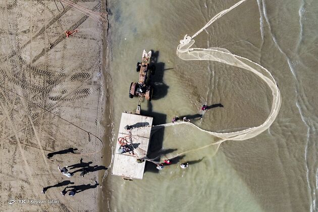13612381_723