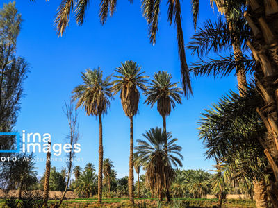 تصاویر| بهترین روستای گردشگری جهان در سال ۲۰۲۵