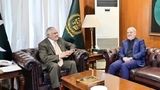 دیدار وزیر خارجه پاکستان با سفیر ایران/ اسحاق‌دار: دیپلماسی تنها راه  دستیابی به صلح است