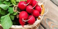 به این دلایل مهم هر هفته تربچه بخورید
