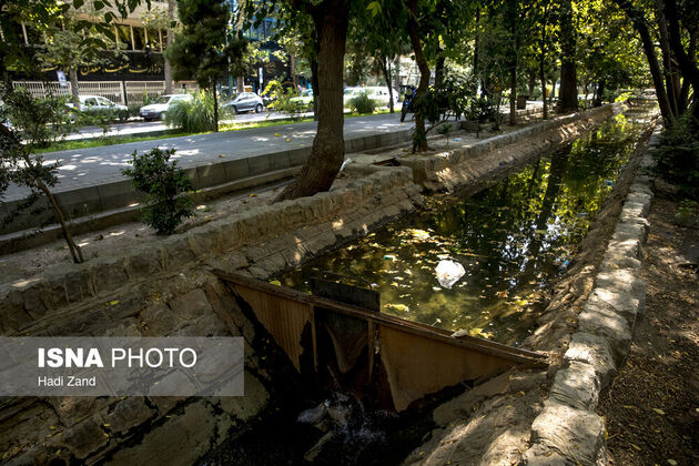 62392760_bolandi-33