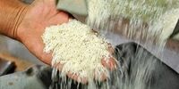 قیمت‌ جدید برنج اعلام شد