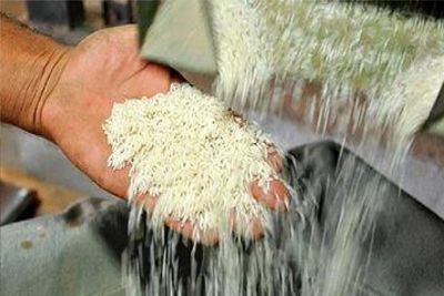 برنج آمریکایی چگونه وارد بازار ایران شد؟