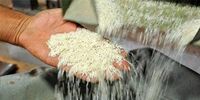 رئیس اتحادیه بنکداران: برنج ۷۰۰ هزار تومانی ایرانی واقع‌بینانه نیست
