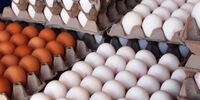 یک کیلو تخم‌مرغ چند؟