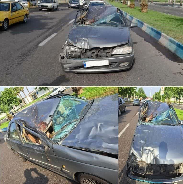 تصادف مرگبار پژو پارس با یک اسب/ خودرو مچاله شد!+عکس
