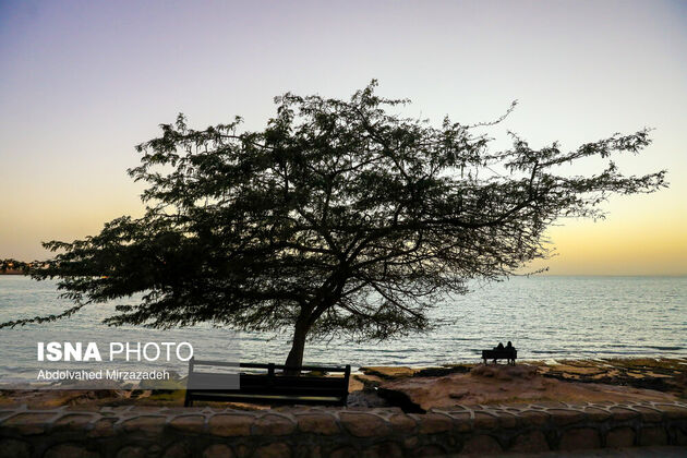 62217290_abdolvahed-mirzazadeh-18