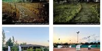 تولد دوباره زمین  تنیس آزادی