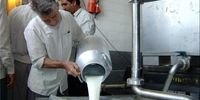 کشف ۴۸ هزار لیتر شیر خام فاقد مجوز در سرخه