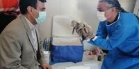 اعتراف محیط زیست درباره مرگ توله یوزهای «ایران»/ اشتباه کردیم