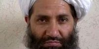تکذیب کشته شدن رهبر طالبان از سوی سخنگوی این گروه