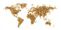 چگونه نوسانات قیمت گاز امنیت غذایی دنیا را به بازی می‌گیرد؟