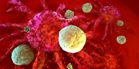 چگونه سلول‌های ایمنی بدن می‌توانند استراحت کنند؟