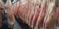 آمار فوتی و ابتلا به بیماری تب کریمه کنگو در کشور تاکنون