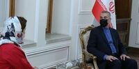 درخواست مهم امیرعبداللهیان از سازمان های بین المللی 