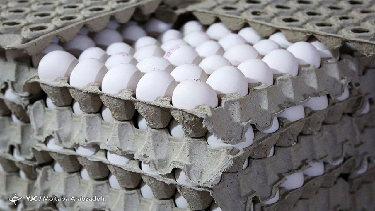 ورود نخستین محموله تخم مرغ ایران به روسیه 