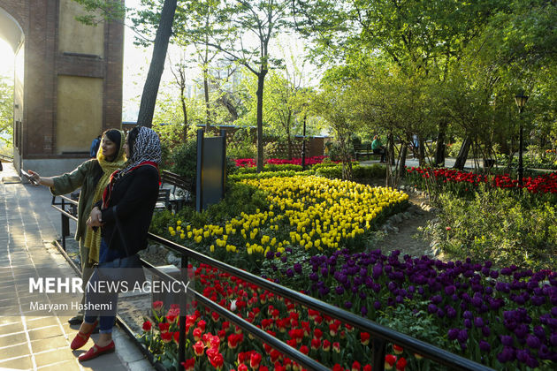 باغ لاله ایرانی