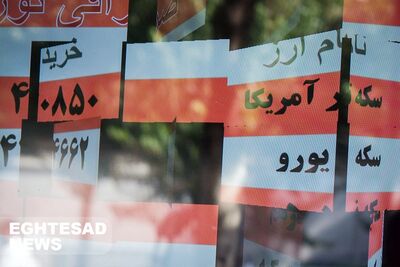 ترور ترامپ قربانی گرفت؛ همستر نوسان داد/ خیز قیمت یورو برای کانال جدید/ سیگنال سلیمانیه به قیمت دلار 
