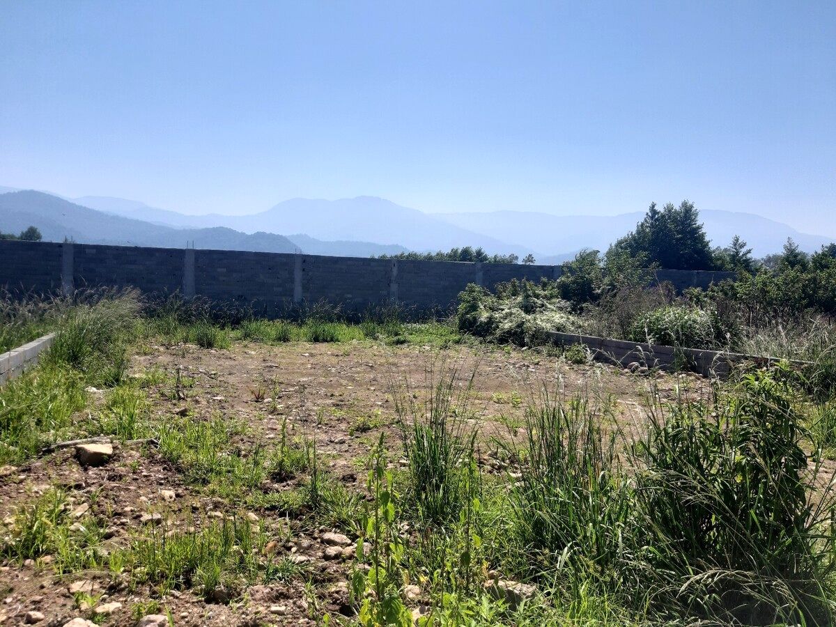 زمین‌خواری میلیاردی/متهم به مرجع قضایی معرفی شد