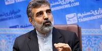  سخنگوی سازمان انرژی اتمی دچار حادثه شد