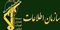 دستگیری سر شبکه وابسته به یک گروهک تروریستی در اردبیل