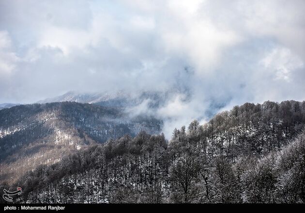 image5