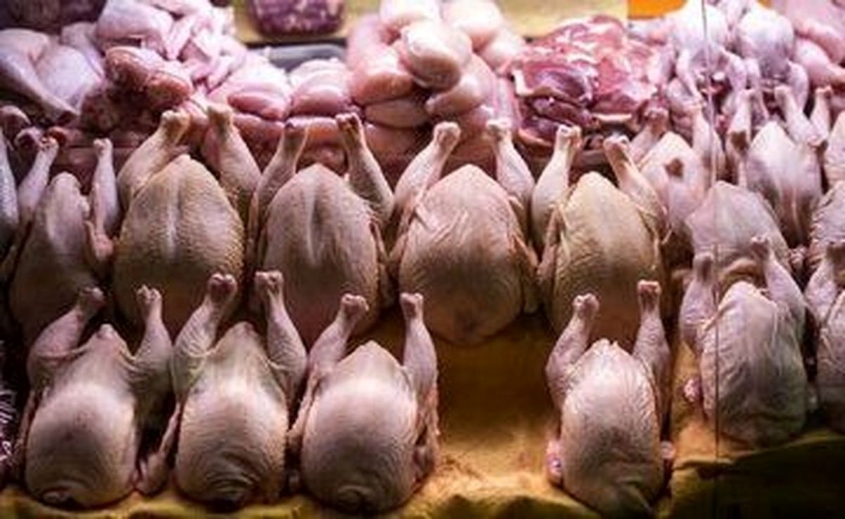 محموله ۲۰ میلیاردی مرغ‌های قاچاق در تهران کشف شد 