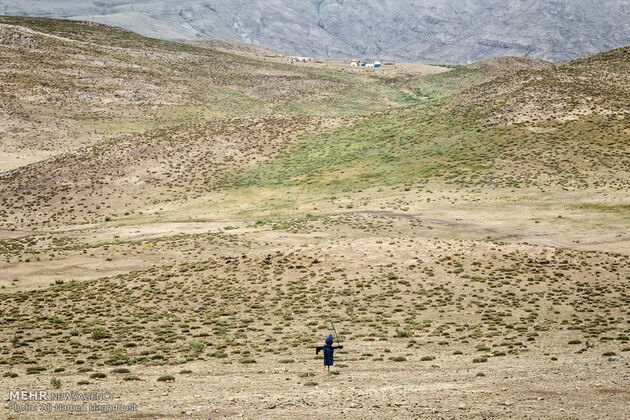زندگی عشایر مغان در دامنه سبلان