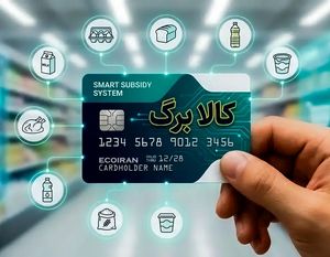 3 سناریوی افزایش رقم کالابرگ؛ رشد ۵۰ تا ۱۰۰ درصدی چه تغییری ایجاد می‌کنند؟ | تجربه برزیل و ترکیه چه می‌گویند؟  