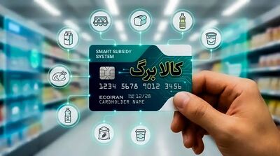 3 سناریوی افزایش رقم کالابرگ؛ رشد ۵۰ تا ۱۰۰ درصدی چه تغییری ایجاد می‌کنند؟ | تجربه برزیل و ترکیه چه می‌گویند؟ 