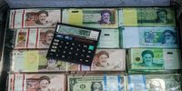 چرا پول تزریقی به تولید سر از بازار طلا و دلار درمی‌آورد؟ | پول را می‌توان اهلی کرد؟