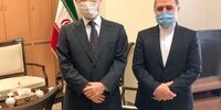 دیدار سفیر ژاپن در ایران با دستیار ظریف