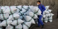 نیمی از مخازن زباله از سطح شهر حذف می شودد 