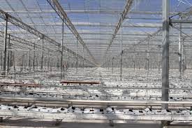 بهره برداری از بزرگترین گلخانه شیشه ای کشور با کشت هیدروپونیک در ارس
