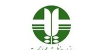 کشف محموله بزرگ زبان حیوانات وحشی در میناب