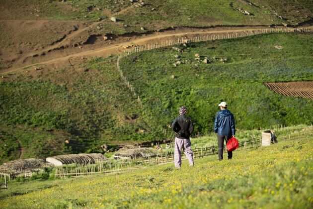 منطقه ییلاقی سوباتان