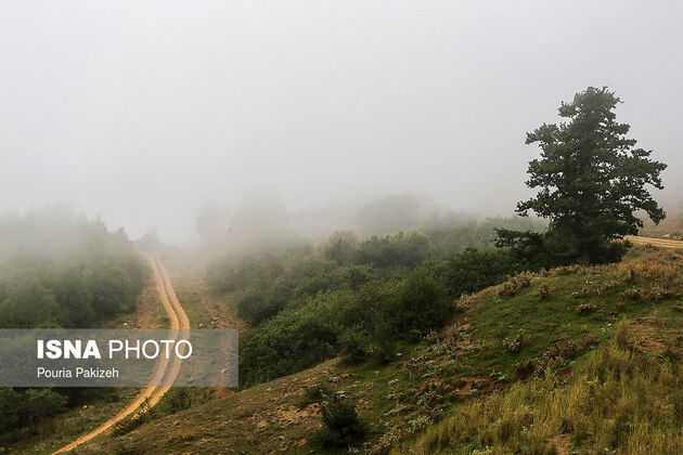 57742849_pouria-pakizeh-3