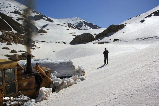 3734192_IMG_9552