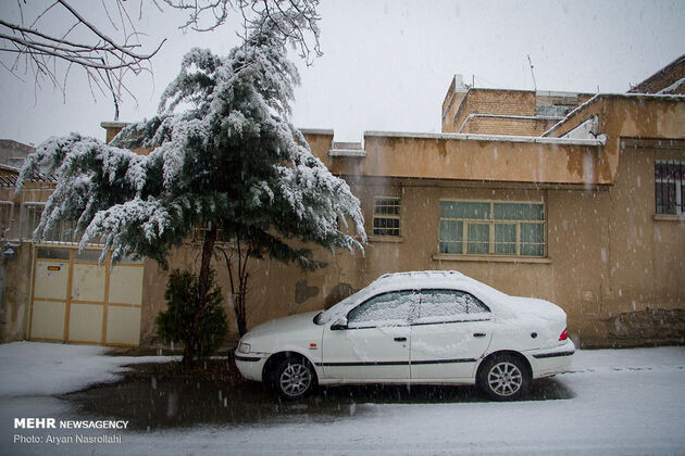 2987739_000IMG_9748