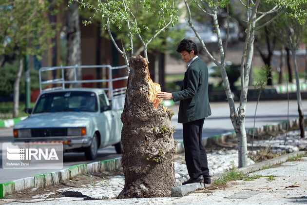 گزارش تصویری