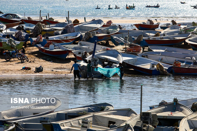 62217279_abdolvahed-mirzazadeh-4