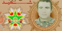 نشان فداکاری به کدام شهید ارتش رسید؟ 
