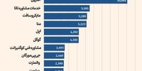 ویزای کار به اضافه ۱۰۰ هزار دلار برای کارگران خارجی با مهارت بالا