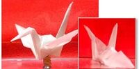 کاغذ با ویژگی‌های جدید ساخته شد
