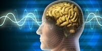 عامل اصلی پیری مغز چیست؟

