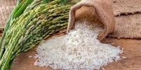 آغاز توزیع گسترده برنج 129 هزار تومانی در بازار/ التهاب بازار برنج فروکش می کند؟