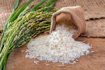 خبر خوش برای بازار برنج / جوی آرام بر بازار حاکم است