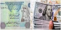 قیمت درهم و دلار امروز یکشنبه 12 آذر/جدول 